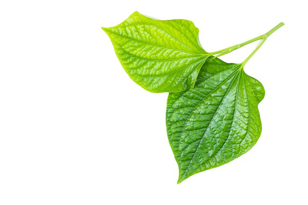 Phương pháp điều trị thoái hóa cột sống