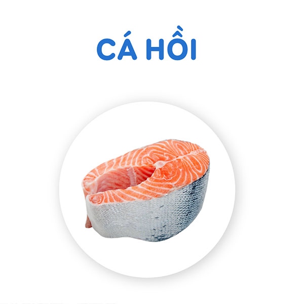 Cá hồi giúp giảm đau lưng