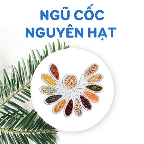 Ngũ cốc nguyên hạt tốt cho người đau lưng