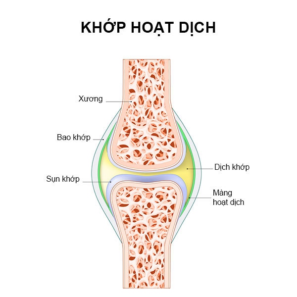 Vị trí viêm màng hoạt dịch