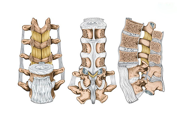 Dấu hiệu thoái hóa cột sống