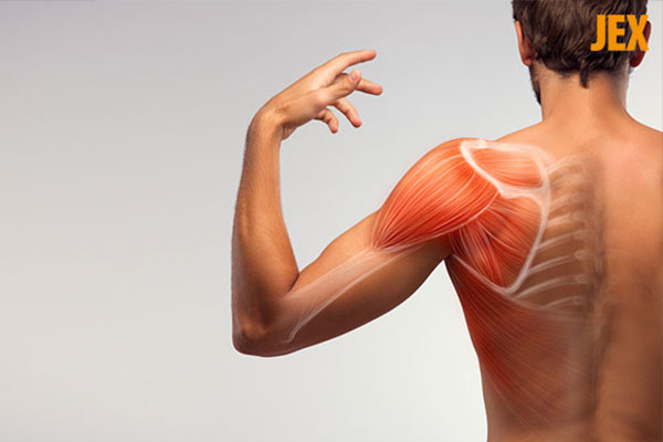 Cấu tạo khớp vai và các bệnh liên quan đến khớp vai thường gặp