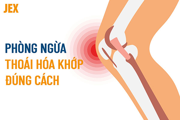 Top 11 cách phòng ngừa thoái hóa khớp hiệu quả, chuẩn khoa học