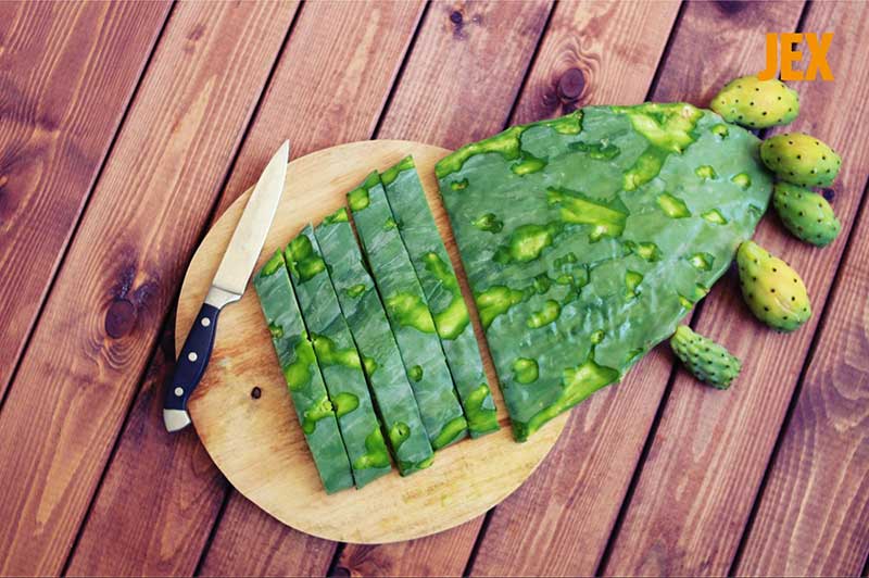 Lưu ý khi điều trị bệnh xương khớp bằng xương rồng