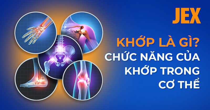Khớp là gì