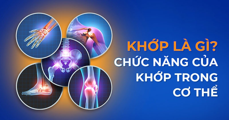 Khớp