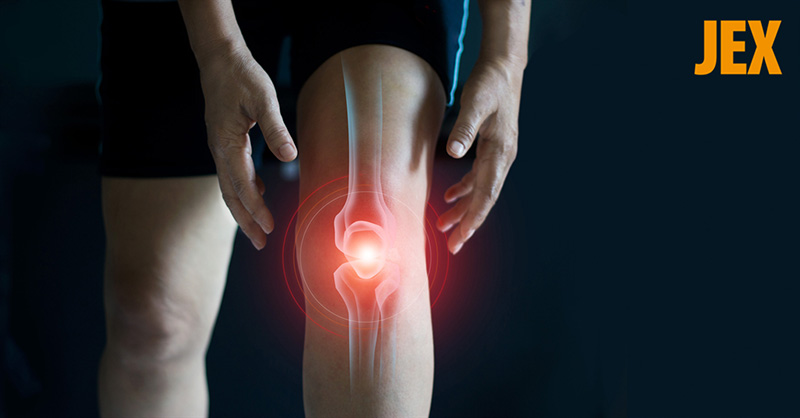 Một số bệnh lý thường gặp
