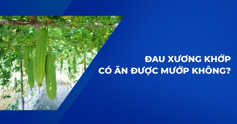 Đau xương khớp có ăn được mướp không? [Chuyên gia tư vấn]