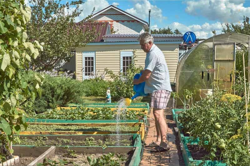 Làm vườn cải thiện tinh thần và vận động