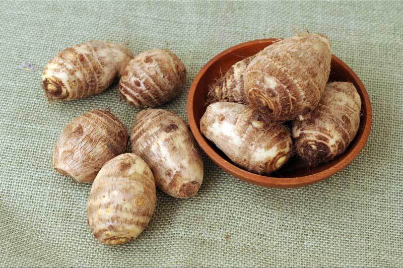 Dùng củ ráy không đúng cách có thể gây ngộ độc