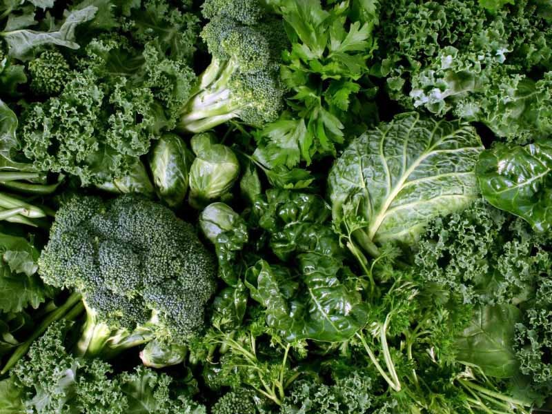 Rau xanh tốt cho người viêm khớp háng