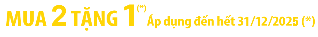 Chương trình mua 2 tặng 1