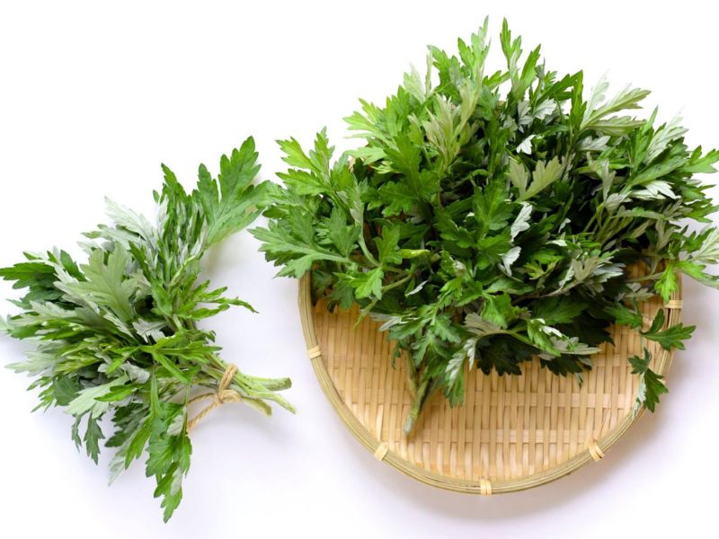 Các bài thuốc dân gian chữa viêm khớp dạng thấp