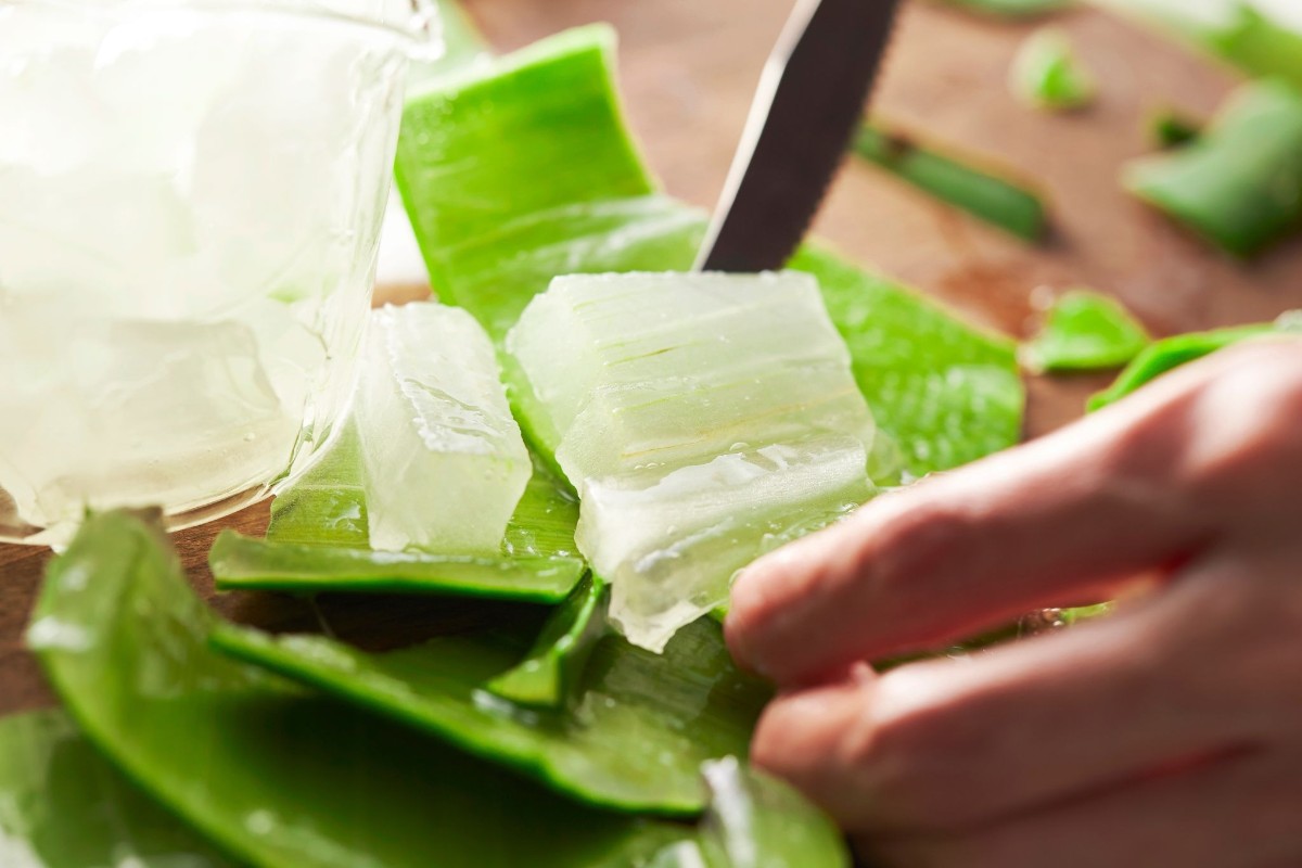 bài thuốc xương khớp đông y từ nha đam