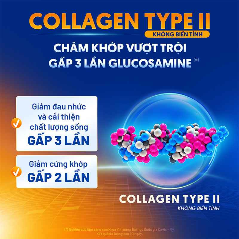 collagen type ii