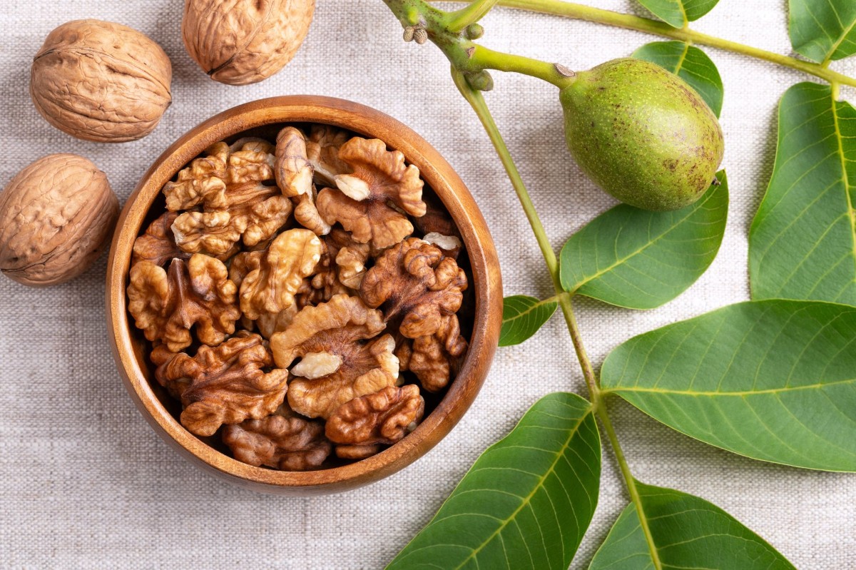 quả óc chó chứa nhiều chất béo không bão hòa