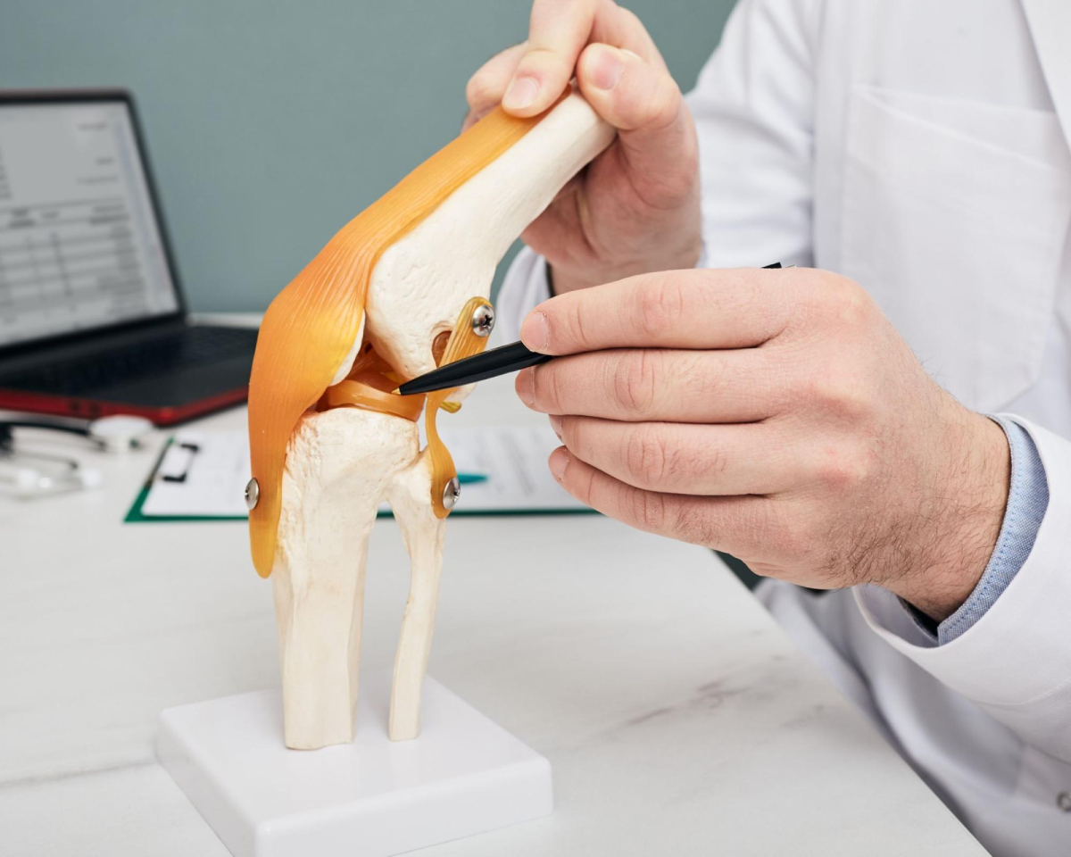 vai trò của sụn chêm